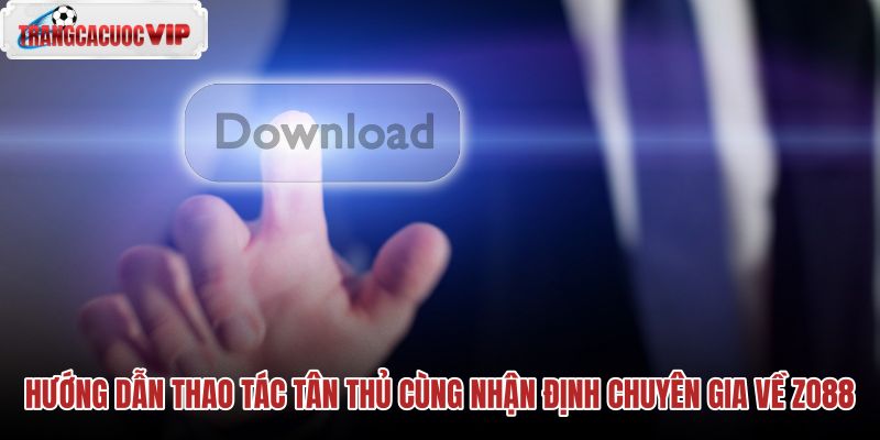 huong-dan-thao-tac-tan-thu-cung-nhan-dinh-chuyen-gia-ve-zo88 huong-dan-thao-tac-tan-thu-cung-nhan-dinh-chuyen-gia-ve-zo88