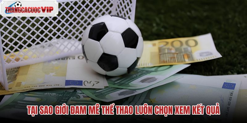 tai sao gioi dam me the thao luon chon xem ket qua tai sao gioi dam me the thao luon chon xem ket qua